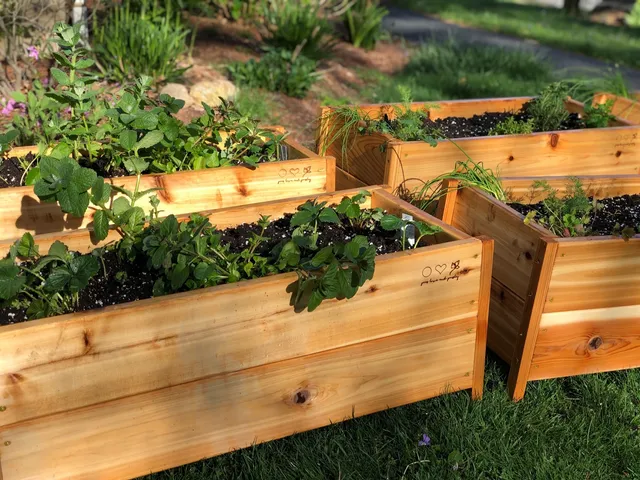 Peas, Love & Parsley