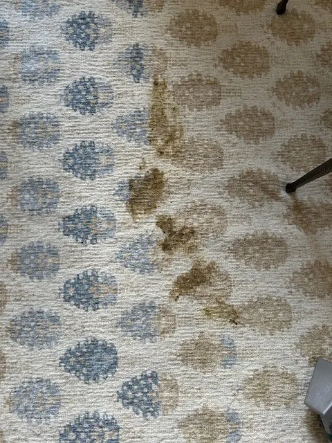 Alec's Carpet & Upholstery Cleaning LLC