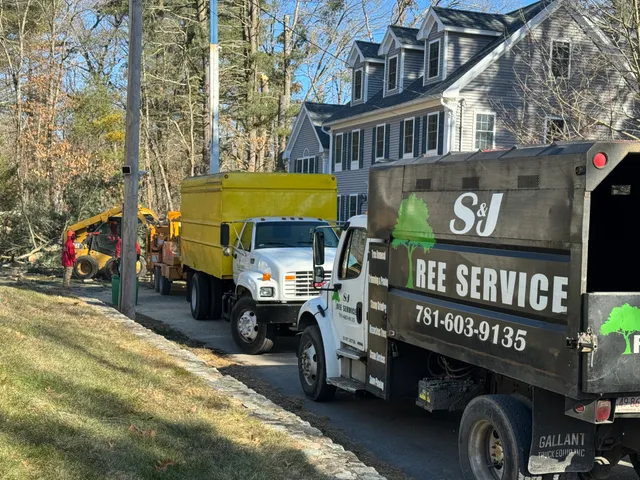 S J Tree Landscaping and Snow Removal Corp work photo
