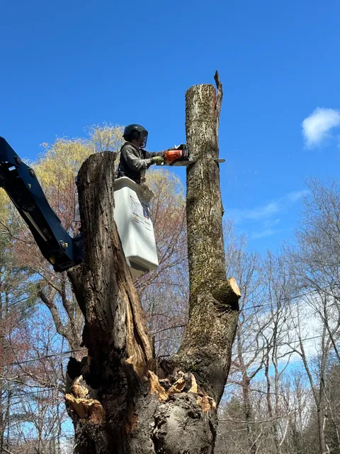 MSC Property Maintenance work photo