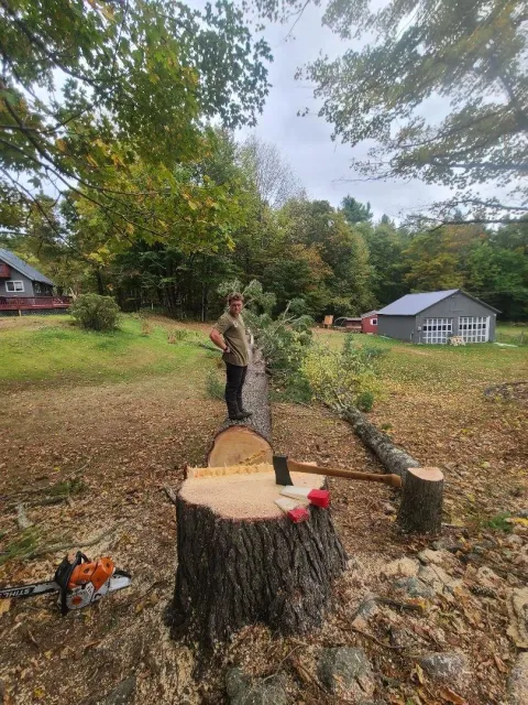 Hart Brothers Tree Service work photo