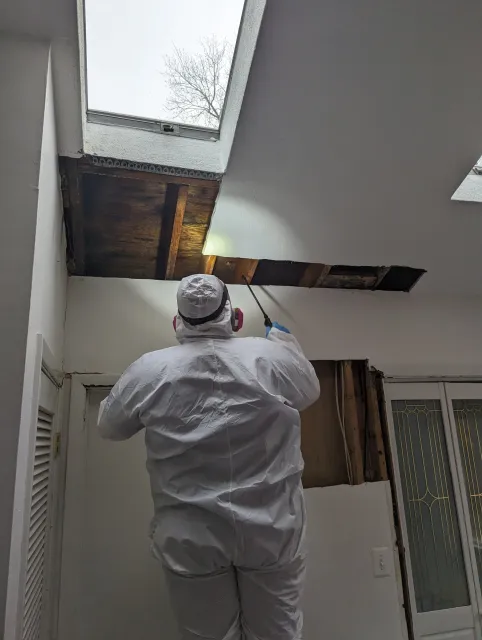A person dressed in white protective clothing and mask is performing maintenance or repair work on a skylight in a room, with exposed wooden framework and a partially open door visible.