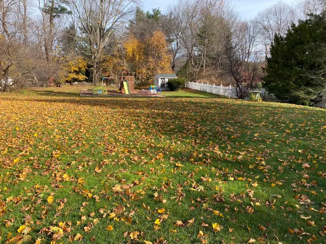 Reasam Landscaping & lawn Care Services Inc