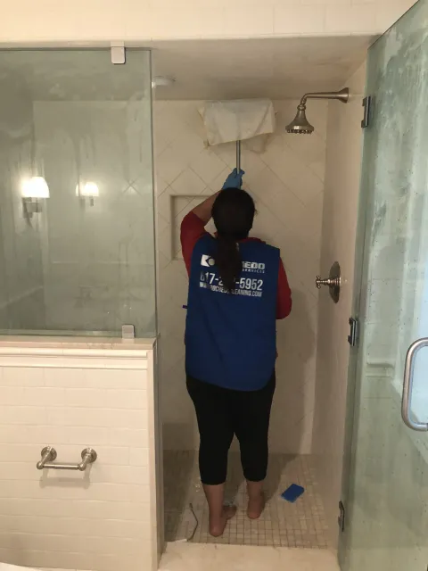 work photo from rochedocleaning.com