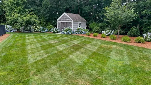 work photo from coleslawncareandlandscaping.com
