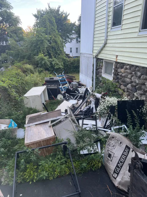 Outdoor property cleanup: before
