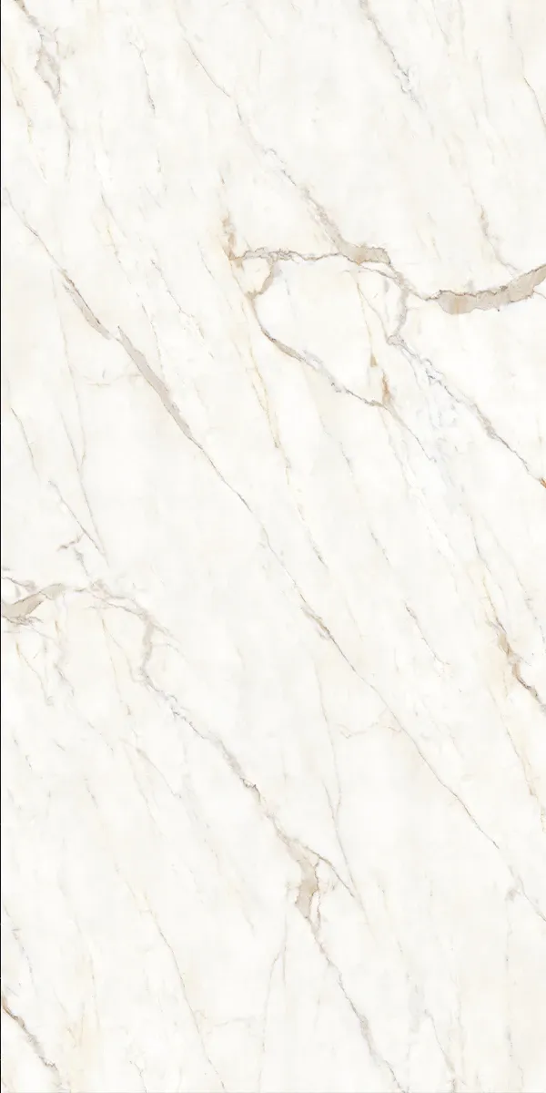Calacatta Oro 12 F1