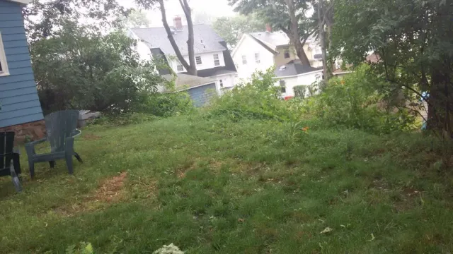 Landscaping