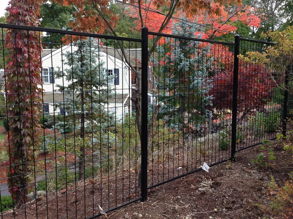 Steel wire fence in Newton2.jpg
