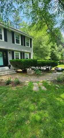 Bush Trimming