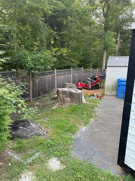 work photo from mandtlandscapesct.com