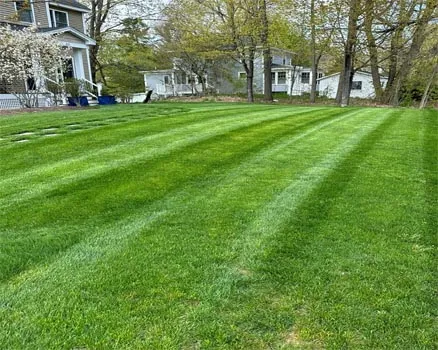 work photo from palandjianlandscaping.com