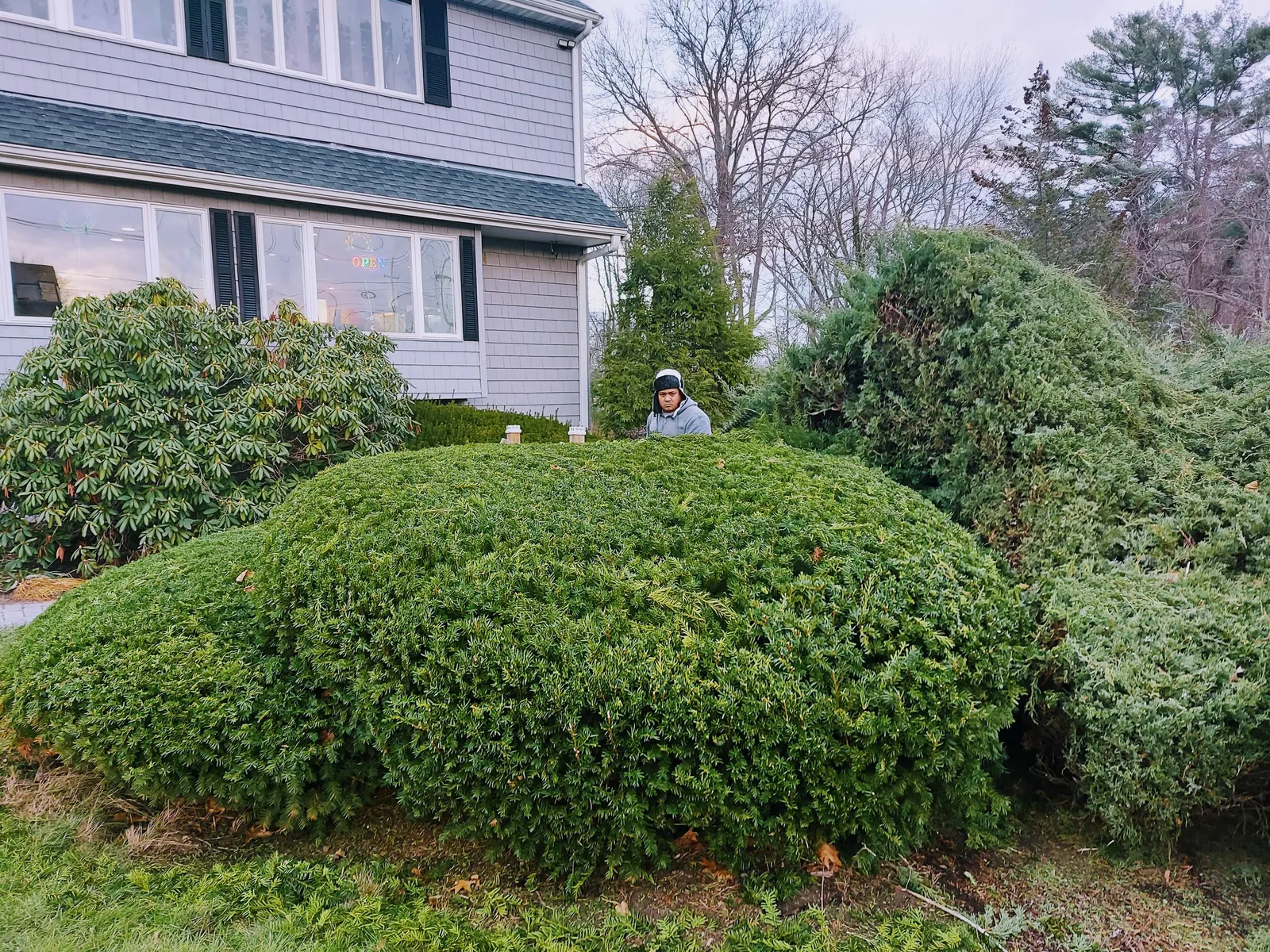 work photo from Google listing