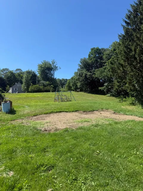 Sunny grassy yard with a bare dirt patch, trees, and a blue sky