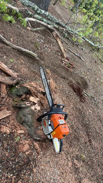work photo from dwightstreeservicellc.com