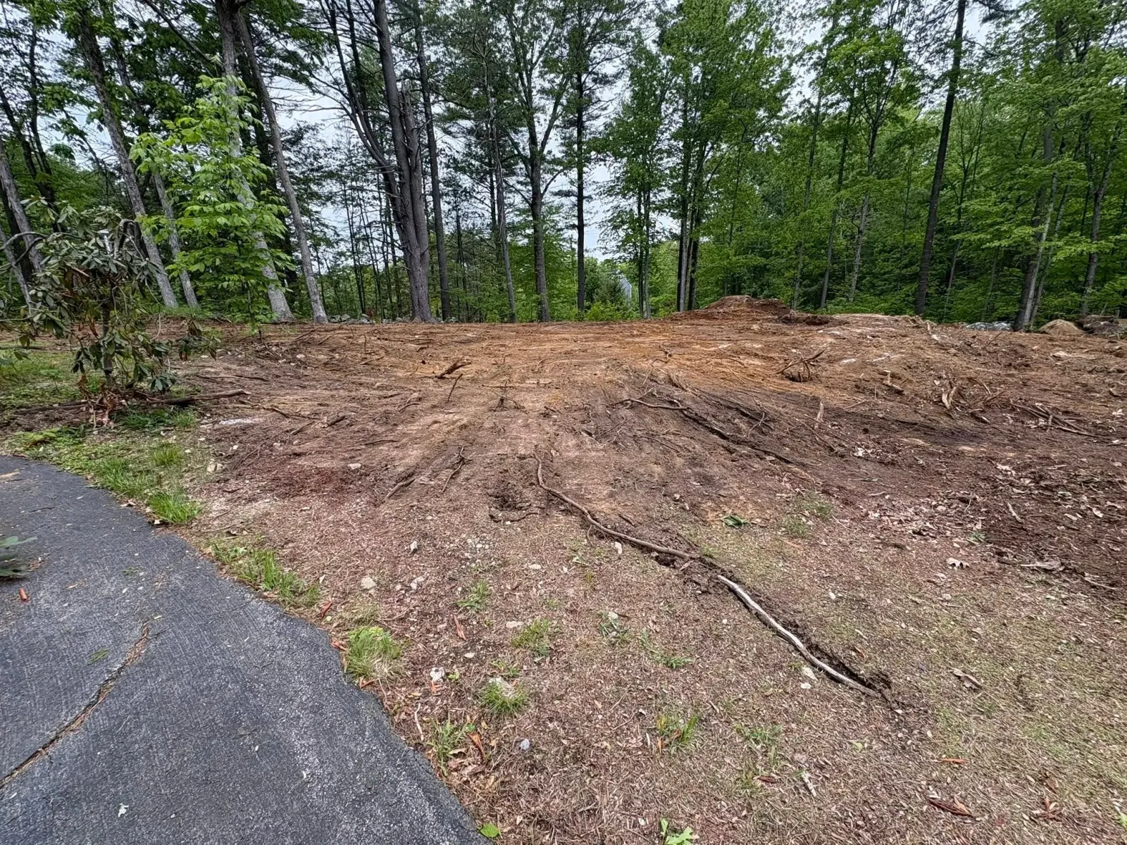 517572490_745287781226161_3749913497491861411_n.jpg