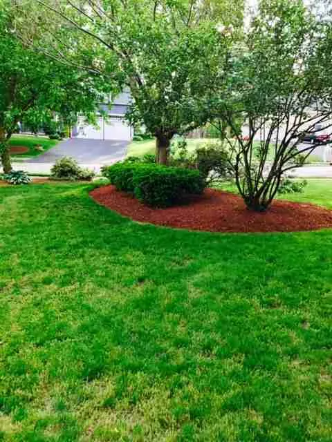 work photo from daveslandscape.com