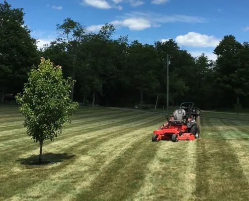 work photo from limitlesslawn.com