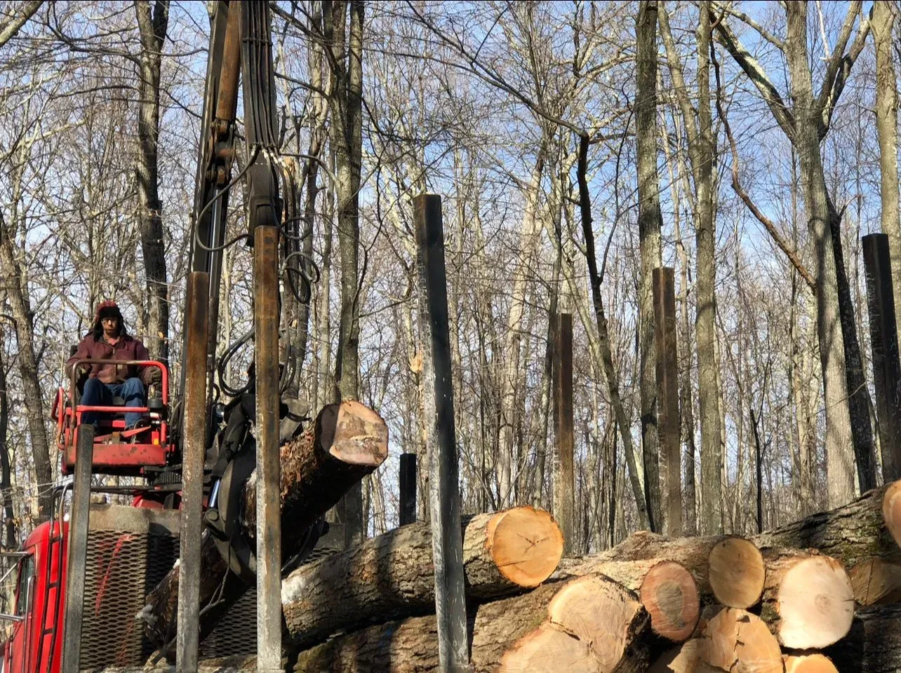 A man is sitting on a crane in a forest next to a pile of logs