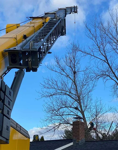 work photo from technicaltreeservice.com