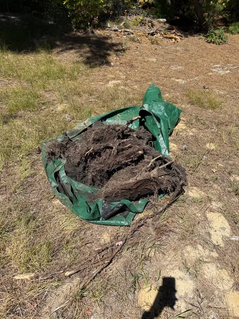 Gilpin Septic Services researched project photo