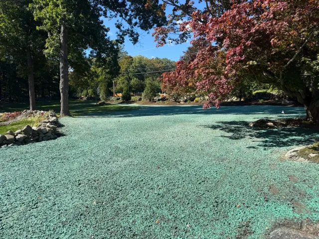 Mr Hydroseed Landscaping work photo