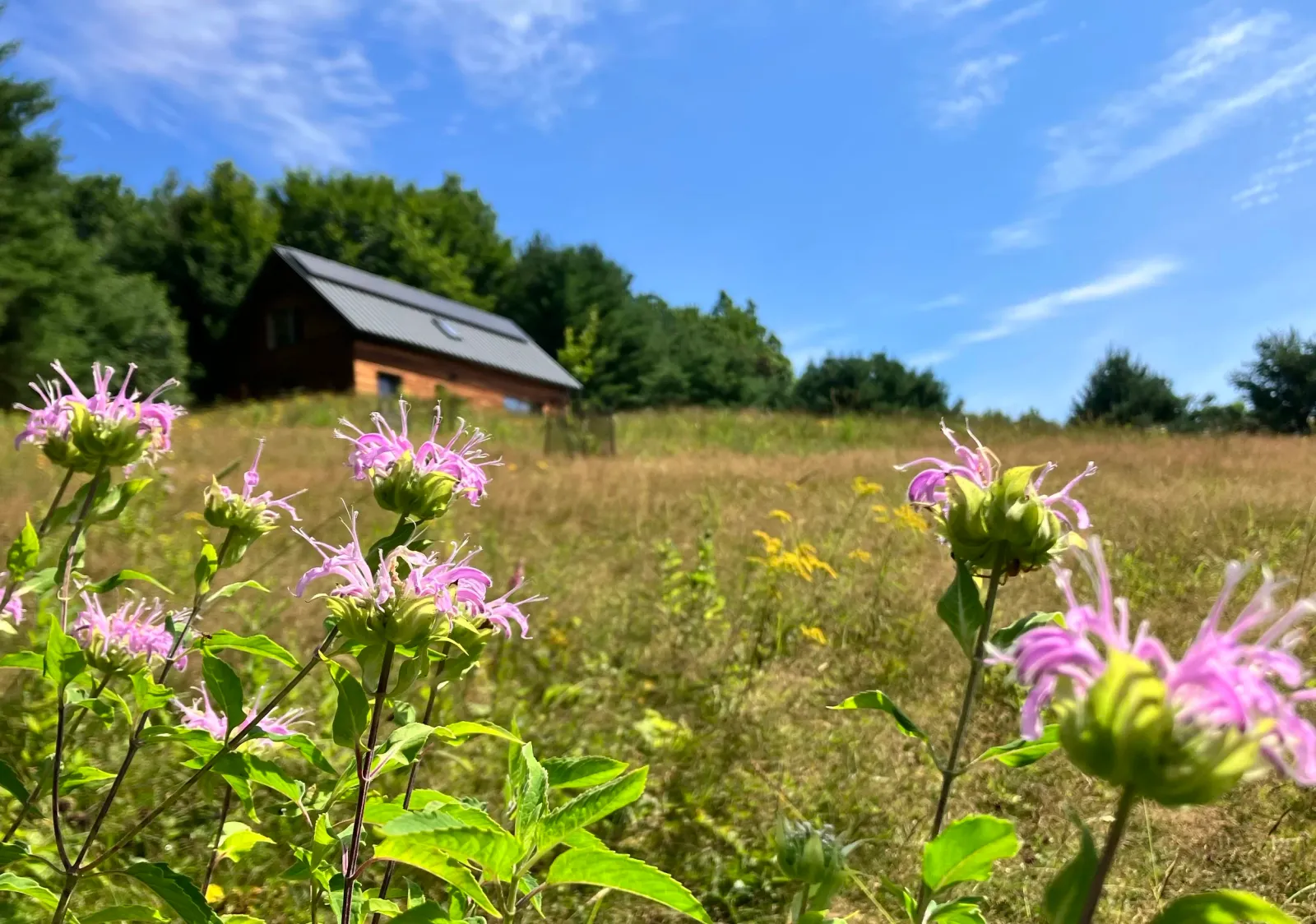 STRAW HOUSE