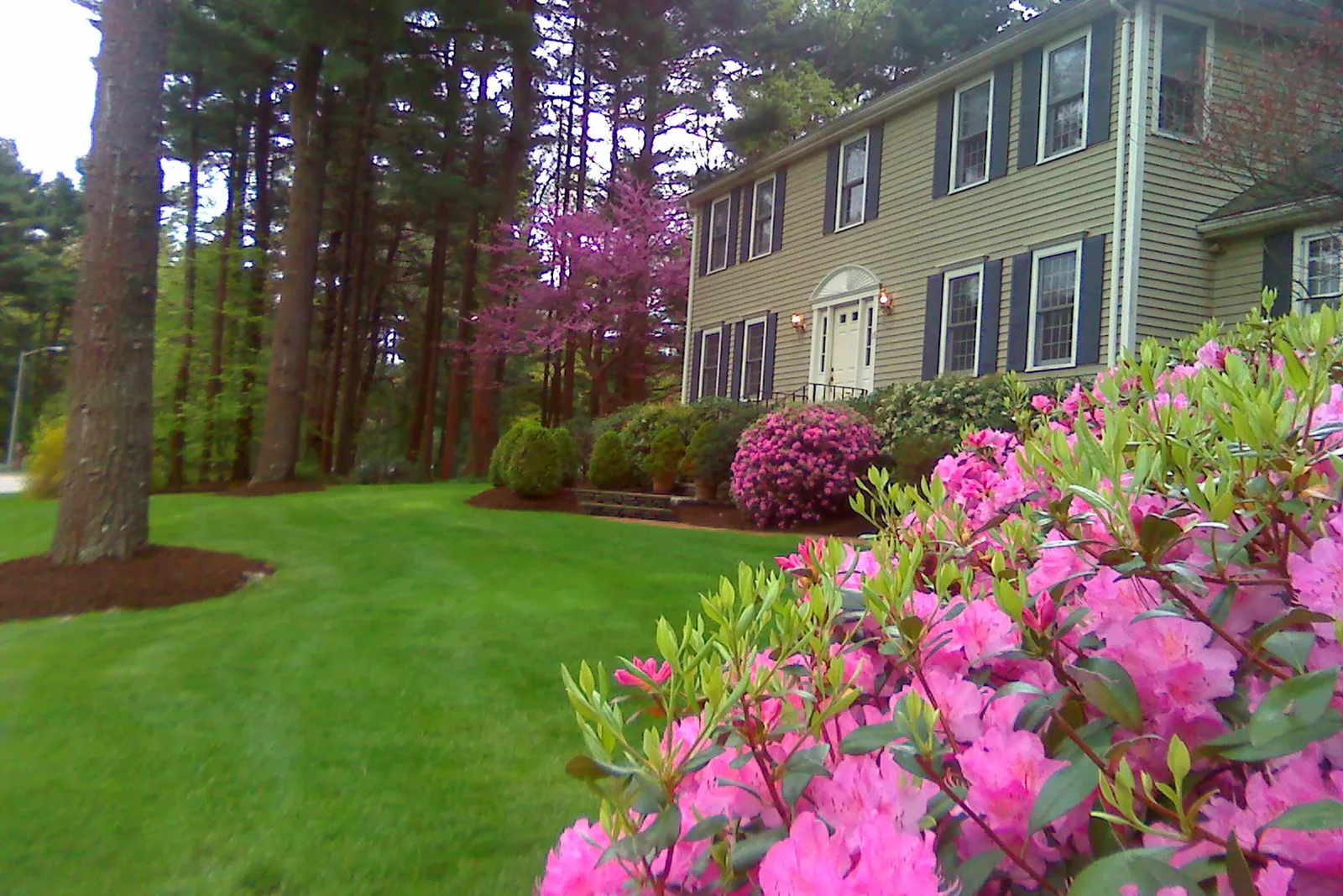 work photo from mottalandscaping.com