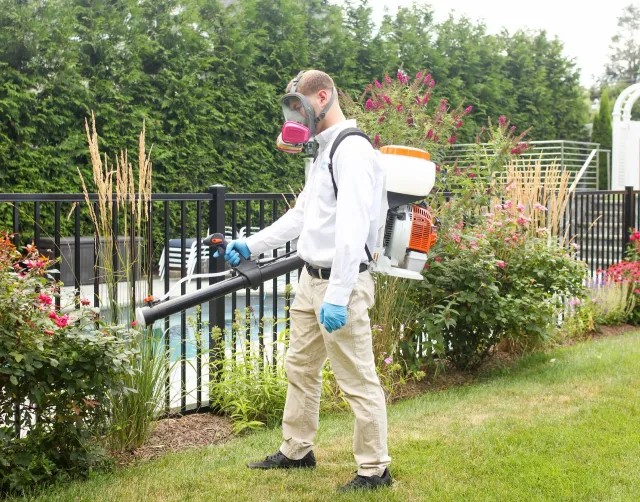work photo from defendpropestcontrol.com