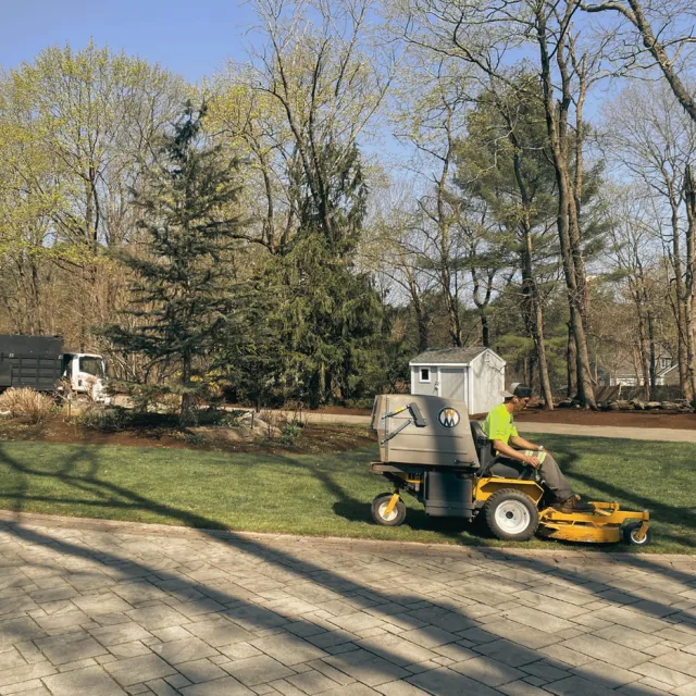 work photo from whitmoresyardcare.com