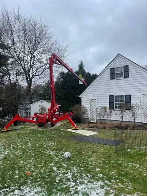 work photo from treetechinc.net