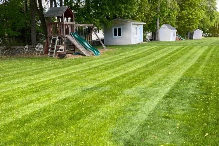 work photo from wilquinlandscapinginc.com