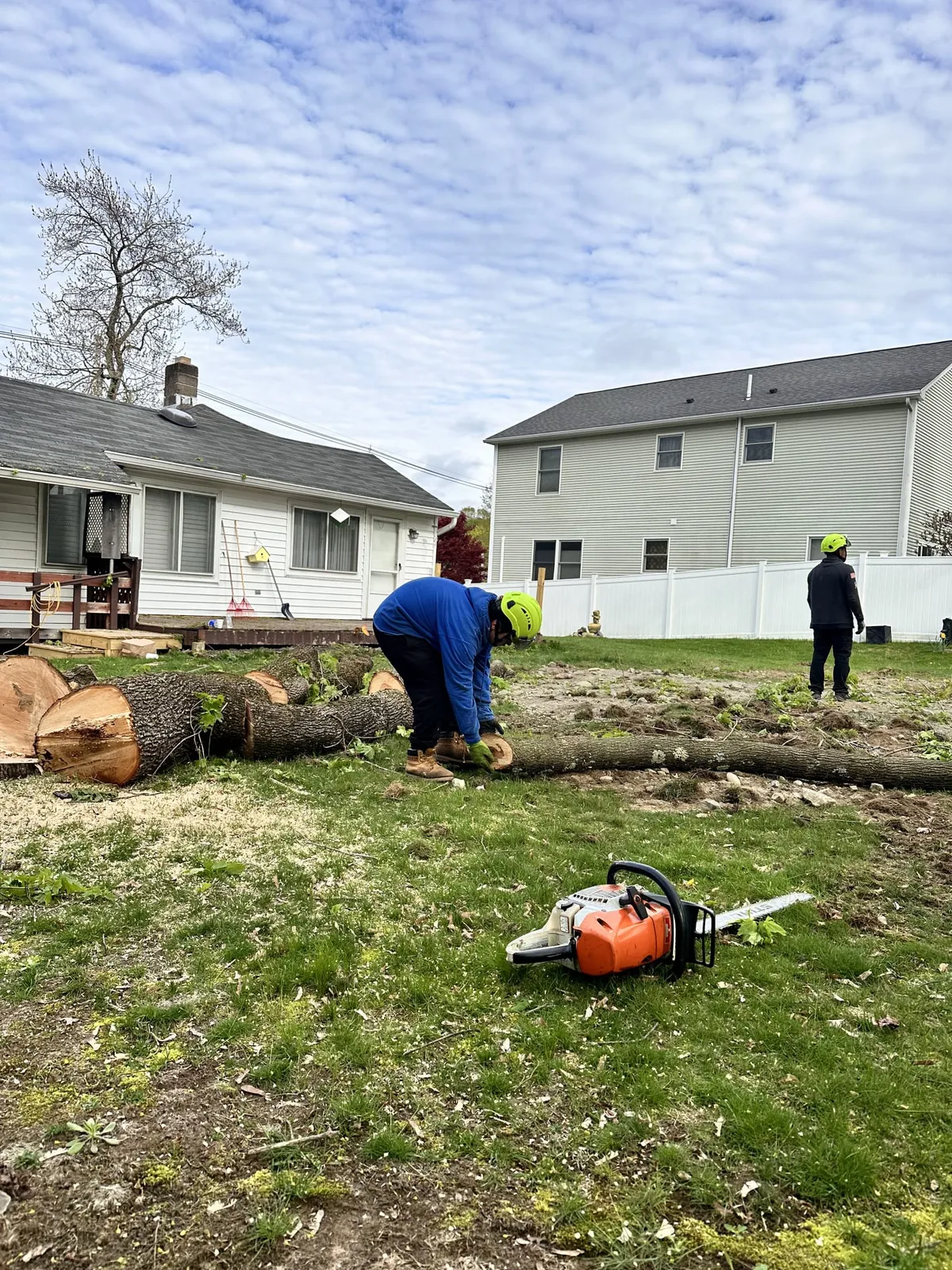 work photo from faithtreeservices.com