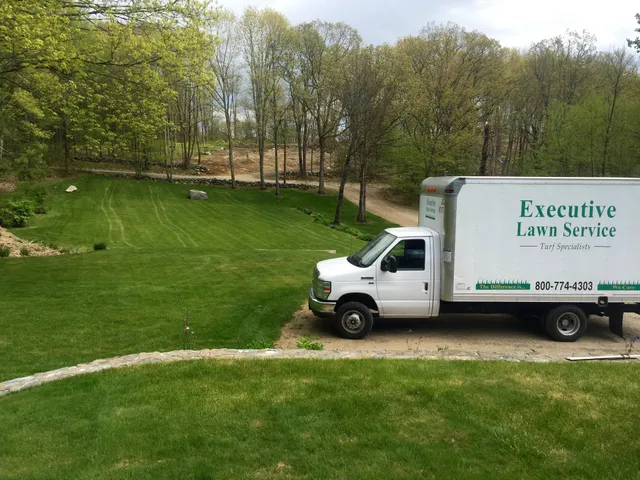 Executive Lawn Service work photo