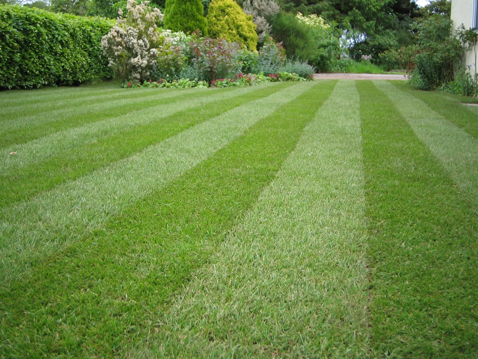 Striped lawn running down a garden path