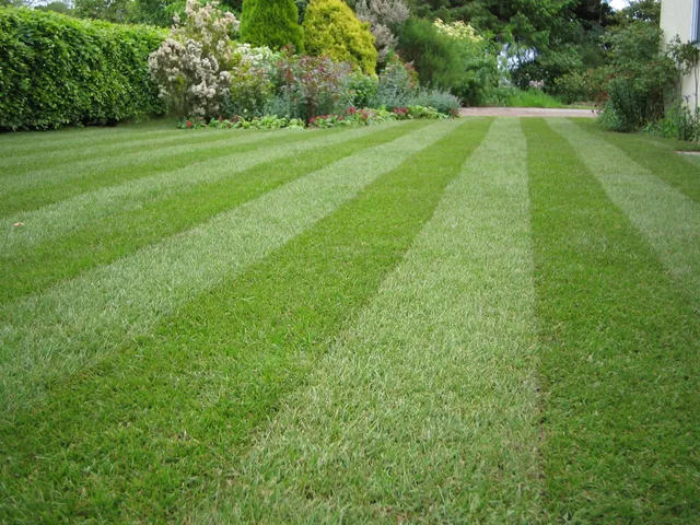 Striped lawn running down a garden path