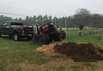 after stump grinding in graveyard — Tree Stump Grinding in Lunenburg, MA