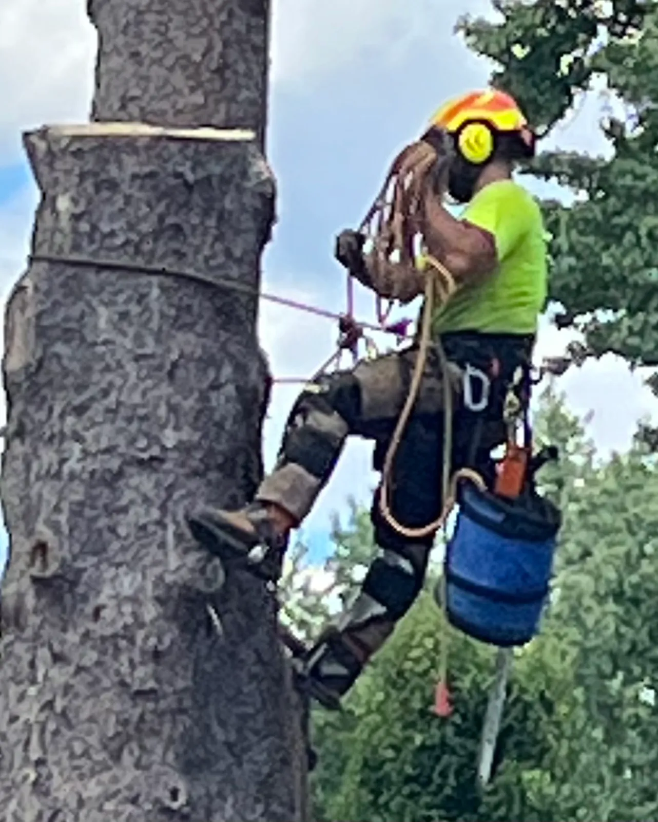 work photo from Google listing