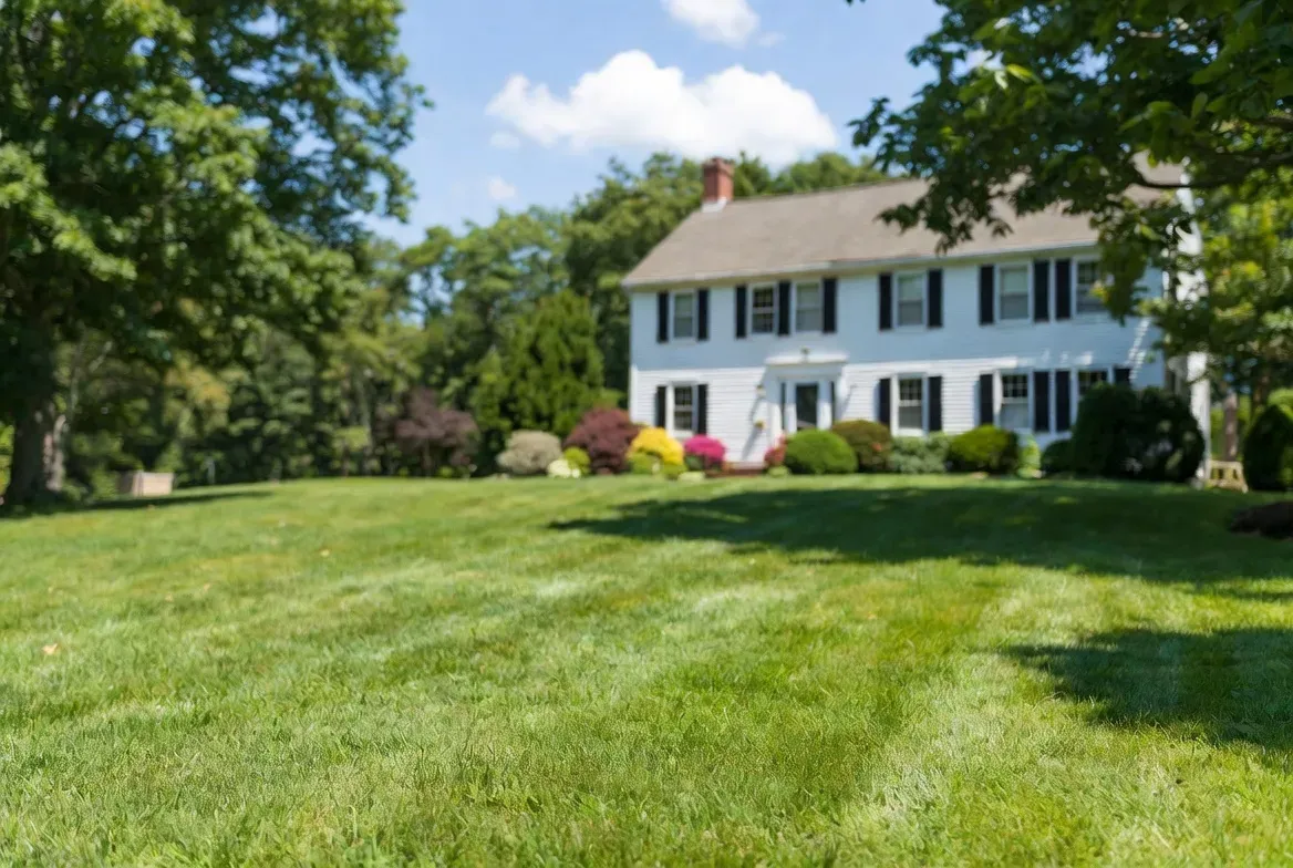 House with lush lawn