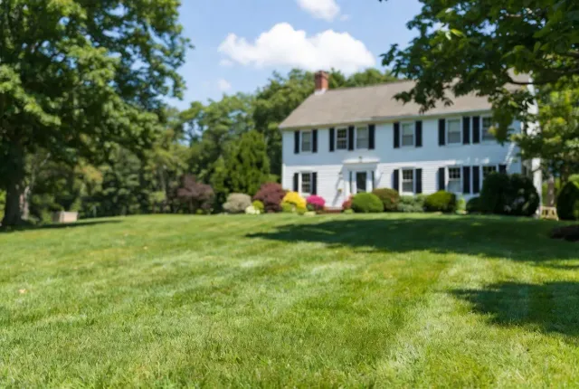 House with lush lawn
