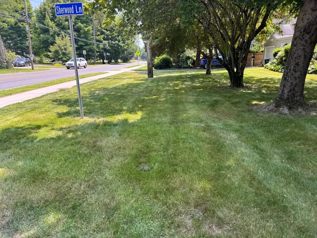 LD'S Lawn Service work photo