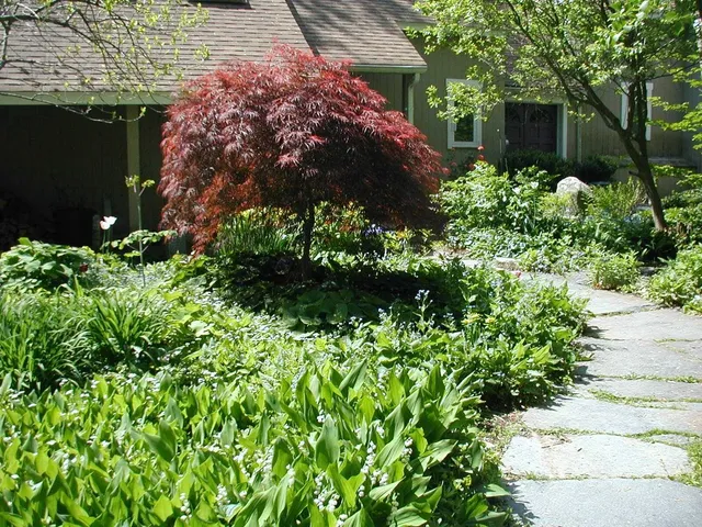 Pioneer Valley Organics Landscaping work photo