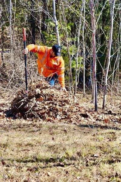 work photo from darisselandscape.com