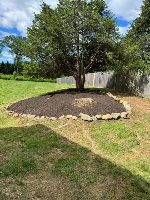 A circular mulch bed cut cleanly around a mature shade tree in a back yard