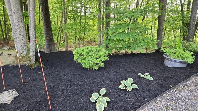 R NUNES LANDSCAPING CORP work photo