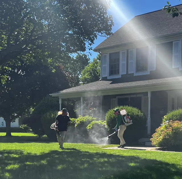 Mosquito Joe of Rhode Island work photo