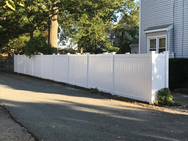 New Boston completed landscaping project IMG_1153.jpeg