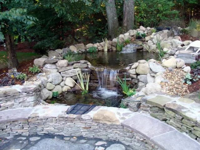 Outdoor water garden with small pond and waterfall surrounded by rocks and plants.