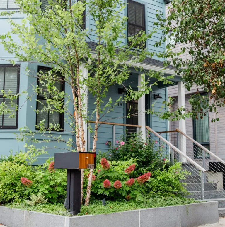 Offshoots Residential Landscape Design in Somerville