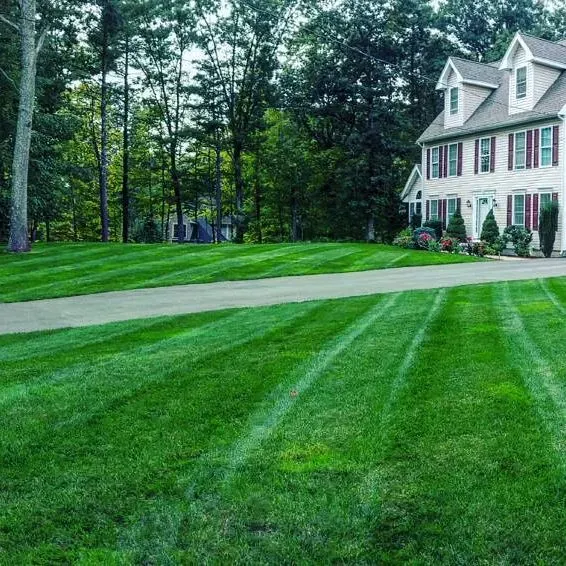 work photo from hilldalelandscapes.com